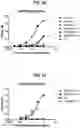 Fig. 59 - Deimmunized Serum-Binding Domains and Their Use in Extending Serum Half-Life