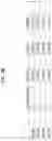Fig. 09 - Antibodies to coagulation factor XIa and uses thereof