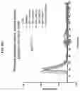 Fig. 15 - Antibodies to coagulation factor XIa and uses thereof