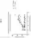 Fig. 18 - Antibodies to coagulation factor XIa and uses thereof