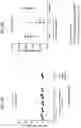 Fig. 20 - Antibodies to coagulation factor XIa and uses thereof
