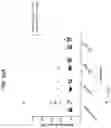 Fig. 22 - Antibodies to coagulation factor XIa and uses thereof