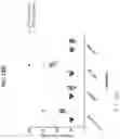 Fig. 23 - Antibodies to coagulation factor XIa and uses thereof