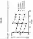 Fig. 26 - Antibodies to coagulation factor XIa and uses thereof