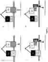 Fig. 02 - Methods of making multispecific antigen-binding molecules