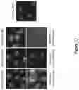 Fig. 12 - Methods of making multispecific antigen-binding molecules