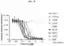 Fig. 20 - DLL3 binding proteins and methods of use