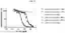 Fig. 26 - DLL3 binding proteins and methods of use