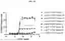 Fig. 43 - DLL3 binding proteins and methods of use