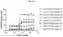 Fig. 44 - DLL3 binding proteins and methods of use