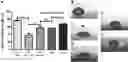 Fig. 01 - Functionalization of biopolymers with growth factor-binding peptides