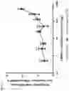 Fig. 12 - Functionalization of biopolymers with growth factor-binding peptides