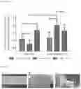 Fig. 15 - Functionalization of biopolymers with growth factor-binding peptides