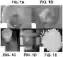 Fig. 02 - Method for converting micro- to nano-crystalline cellulose
