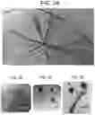 Fig. 03 - Method for converting micro- to nano-crystalline cellulose