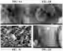 Fig. 04 - Method for converting micro- to nano-crystalline cellulose