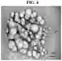 Fig. 05 - Method for converting micro- to nano-crystalline cellulose