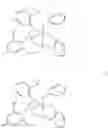 Fig. 26 - Amine bridged anilide phenolate catalyst compounds