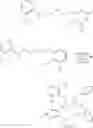 Fig. 31 - Amine bridged anilide phenolate catalyst compounds