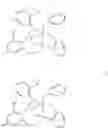 Fig. 41 - Amine bridged anilide phenolate catalyst compounds