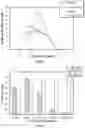Fig. 02 - Rapid activation process and activation treatments for chromium catalysts for producing high melt index polyethylenes