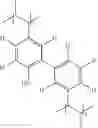 Fig. 19 - MONOMERS, POLYMERS AND METHODS OF MAKING THE SAME