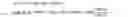 Fig. 04 - Bridged anilinyl phenyl phenol catalyst compounds
