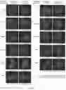 Fig. 15 - Key-and-lock commodity self-healing copolymers