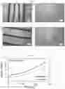 Fig. 17 - Key-and-lock commodity self-healing copolymers