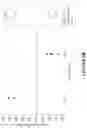 Fig. 13 - Polycarbonate block copolymers and methods thereof