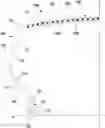 Fig. 01 - Elastomeric compositions comprising silicate fibres with needle-shaped morphology of nanometric size and tyres for vehicles that comprise them