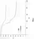 Fig. 03 - Elastomeric compositions comprising silicate fibres with needle-shaped morphology of nanometric size and tyres for vehicles that comprise them