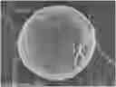 Fig. 01 - PHYSICAL DEPOSITION OF SILICEOUS PARTICLES ON PLASTIC SUPPORT TO ENHANCE SURFACE PROPERTIES