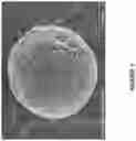 Fig. 02 - PHYSICAL DEPOSITION OF SILICEOUS PARTICLES ON PLASTIC SUPPORT TO ENHANCE SURFACE PROPERTIES