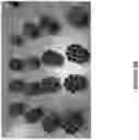 Fig. 06 - PHYSICAL DEPOSITION OF SILICEOUS PARTICLES ON PLASTIC SUPPORT TO ENHANCE SURFACE PROPERTIES