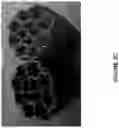 Fig. 07 - PHYSICAL DEPOSITION OF SILICEOUS PARTICLES ON PLASTIC SUPPORT TO ENHANCE SURFACE PROPERTIES