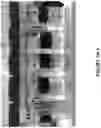 Fig. 12 - PHYSICAL DEPOSITION OF SILICEOUS PARTICLES ON PLASTIC SUPPORT TO ENHANCE SURFACE PROPERTIES