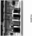Fig. 14 - PHYSICAL DEPOSITION OF SILICEOUS PARTICLES ON PLASTIC SUPPORT TO ENHANCE SURFACE PROPERTIES