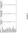 Fig. 16 - PHYSICAL DEPOSITION OF SILICEOUS PARTICLES ON PLASTIC SUPPORT TO ENHANCE SURFACE PROPERTIES