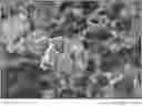 Fig. 01 - Acoustically active materials