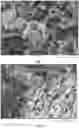 Fig. 02 - Acoustically active materials