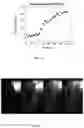 Fig. 32 - Inverse-freezing compositions and use thereof