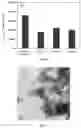 Fig. 06 - Hexagonal boron nitride epoxy compound anticorrosive paint, and preparation method and use thereof