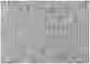 Fig. 01 - Composition useful for preparing multicolor paint