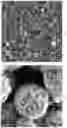 Fig. 03 - FLOCCULATES OF METALLIC, GEOMETRICALLY DISCRETE NANOPARTICLES COMPOSITIONS AND METHODS OF FORMING THE SAME