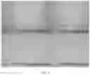 Fig. 02 - Polymers, coating compositions containing such polymers, and anti-fingerprint coatings formed therefrom