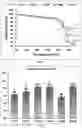 Fig. 04 - Metal oxide-containing sol-gel coating formulations