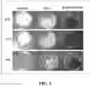 Fig. 04 - Thermal conduction enhanced organic composite shape-stabilized phase change material and preparation method thereof