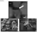 Fig. 05 - CONFORMANCE CONTROL AND SELECTIVE BLOCKING IN POROUS MEDIA THROUGH DROPLET-DROPLET INTERACTIONS IN NANOPARTICLE STABILISED EMULSIONS
