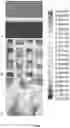 Fig. 07 - Three dimensional structured packing for improving the contact between a gas phase and a dispersed solid phase following in counter-current